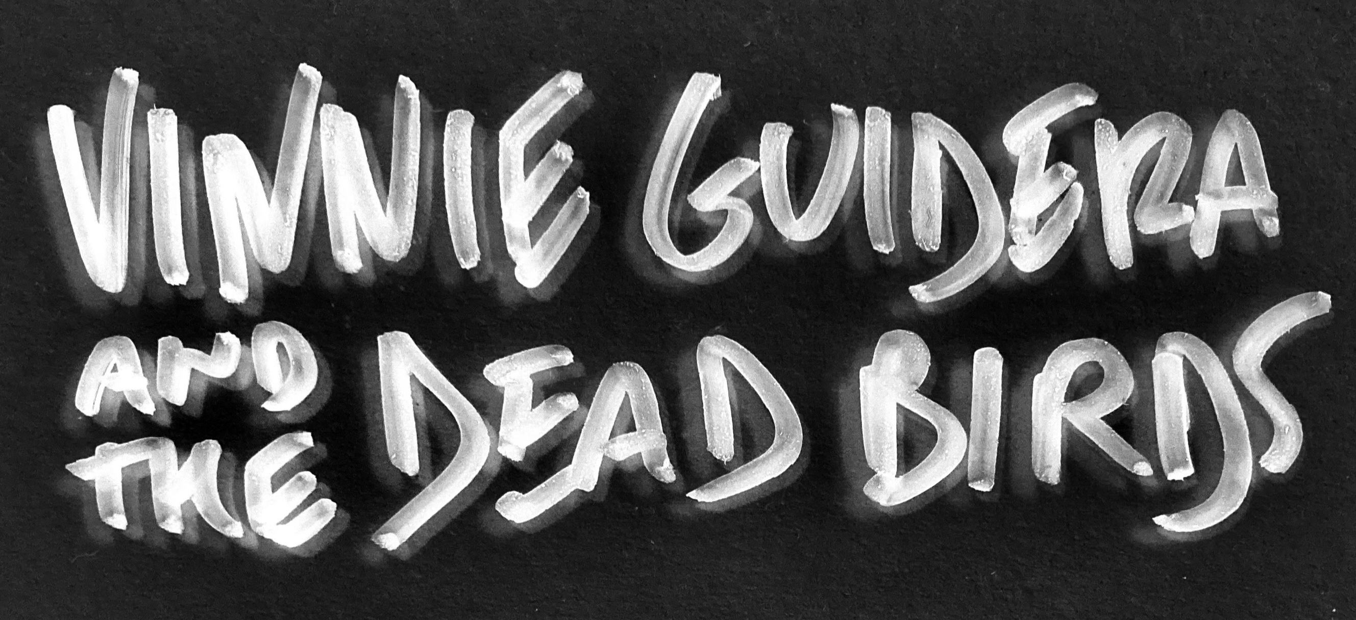 Vinnie Guidera & The Dead Birds logo