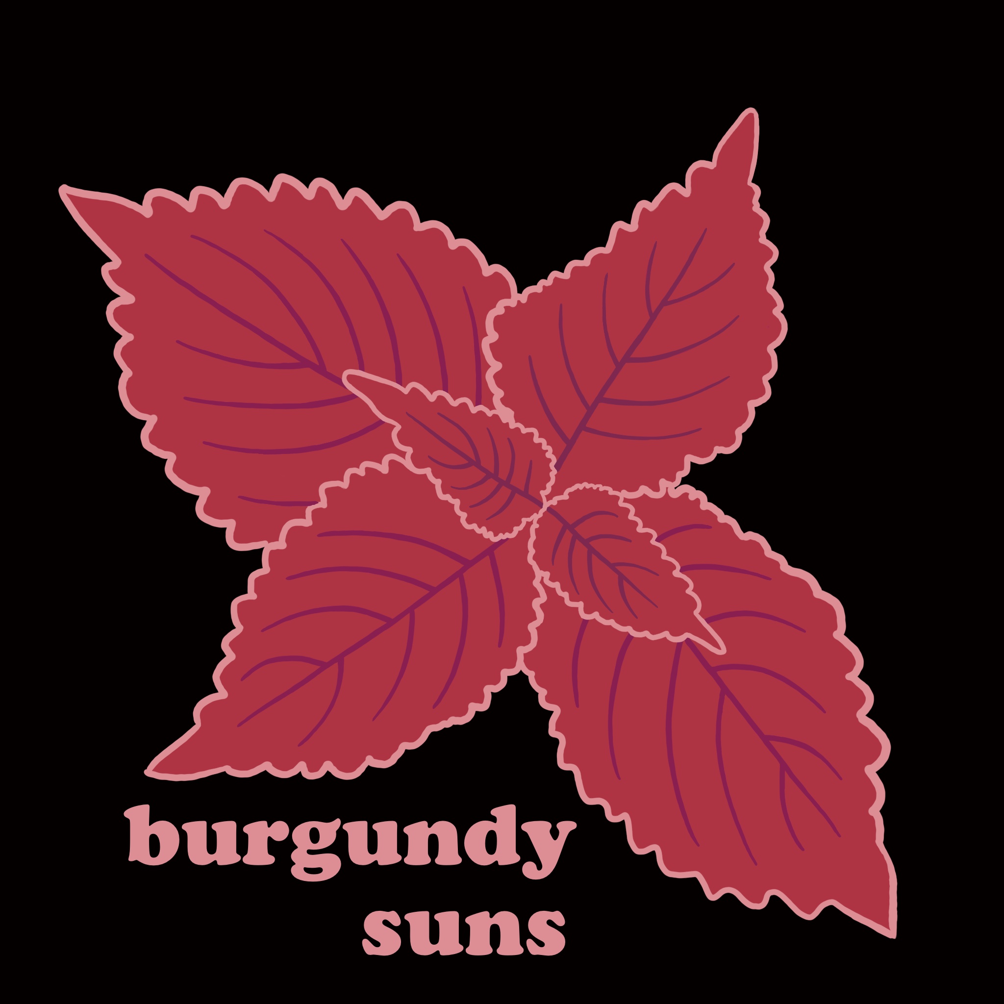 burgundy suns