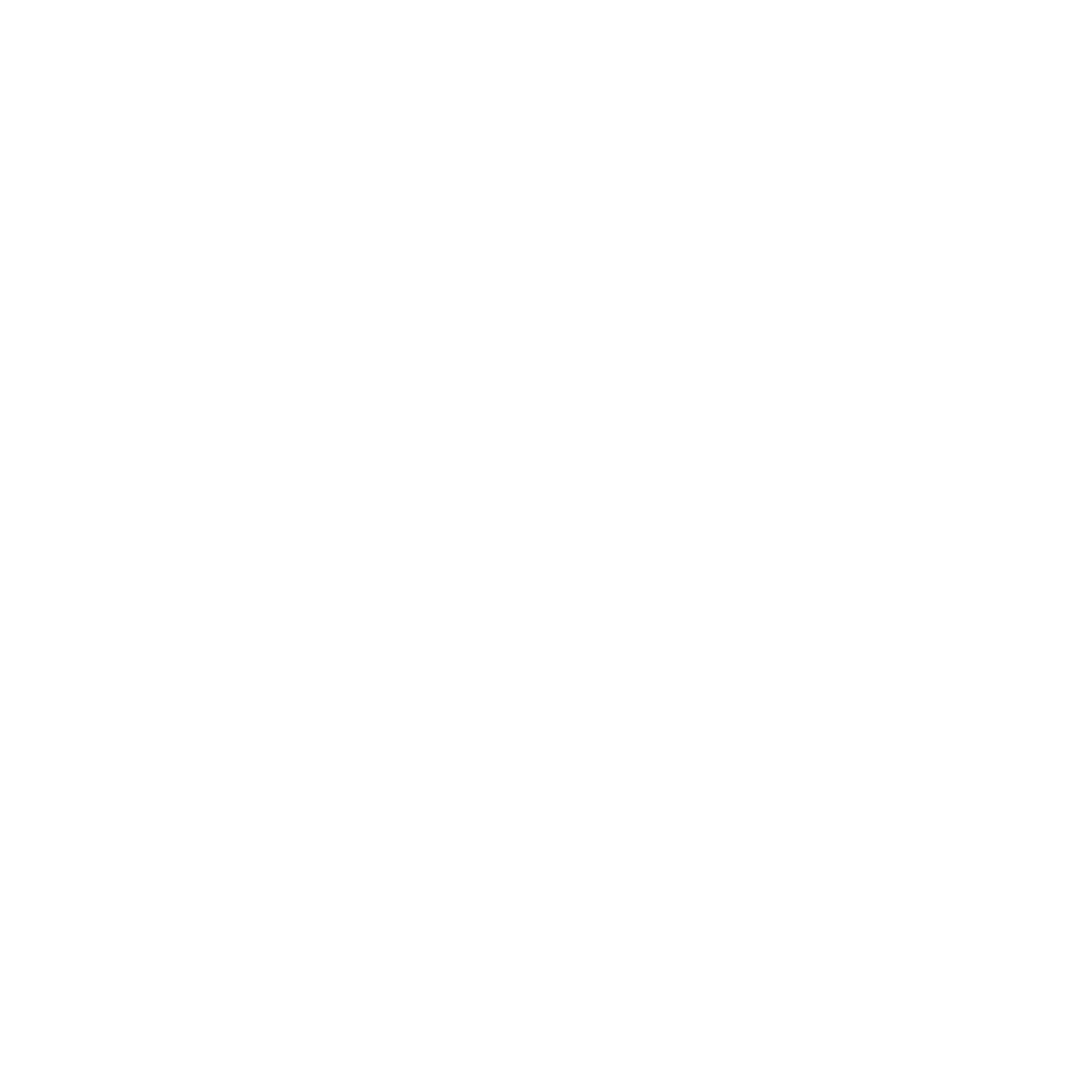 Lane Norberg logo