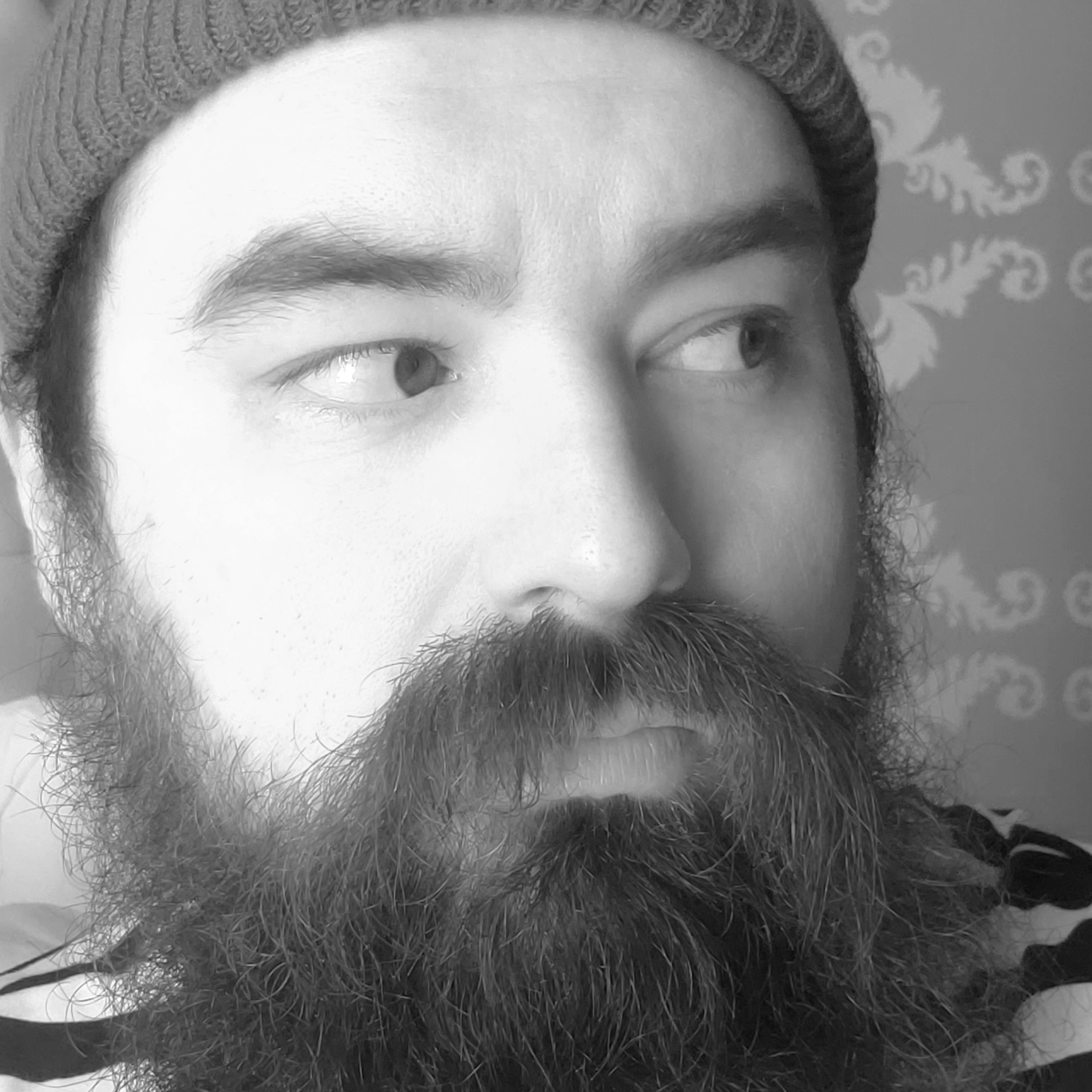 Rabbit with a Number